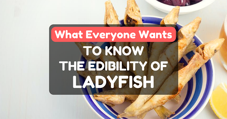 Can You Eat Ladyfish