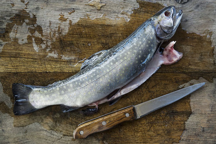 How To Gut A Trout